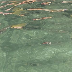 Meet your Posher, Layla